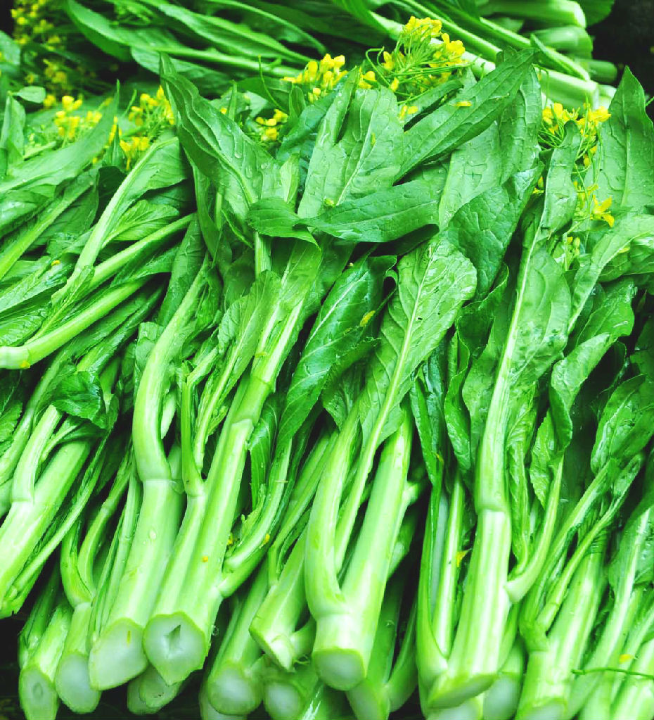 蔬菜攝影圖__蔬菜_生物世界_攝影圖庫_昵圖網(wǎng)nipic